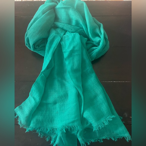 J. Crew Accessories - JCrew scarf